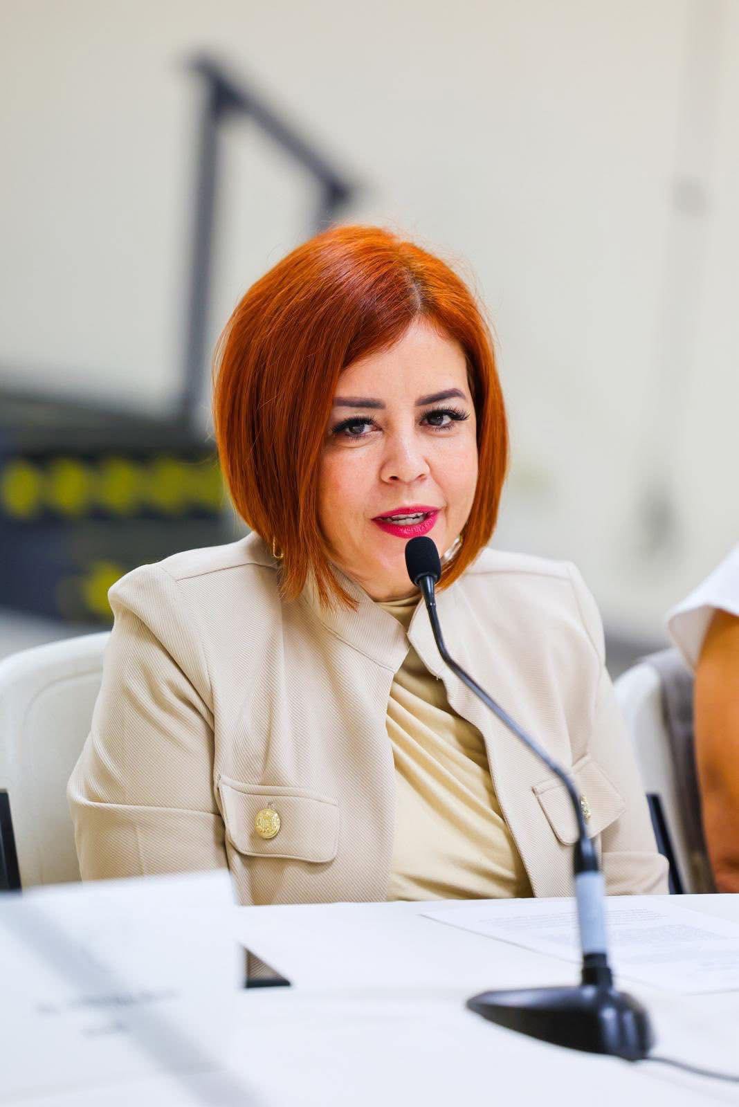 Imagen de Senadora Brenda Pérez logra acción inmediata para proteger a estudiantes de Educación Especial en Arecibo